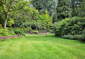 Optimiser l'expérience du jardin à Saint-Laurent