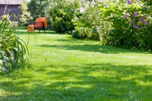 travaux jardin et paysage Saint-Laurent